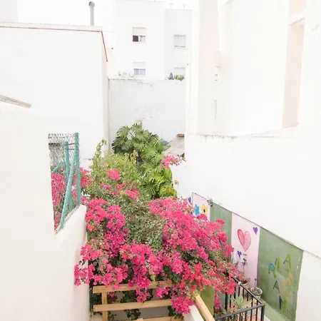 Cbs- Biking And Summer