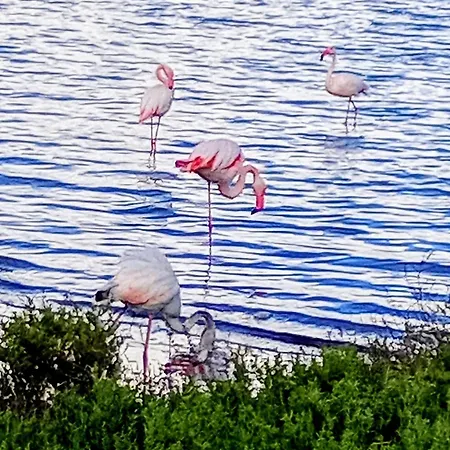 Kwatera prywatna Cbs- Biking And Summer *