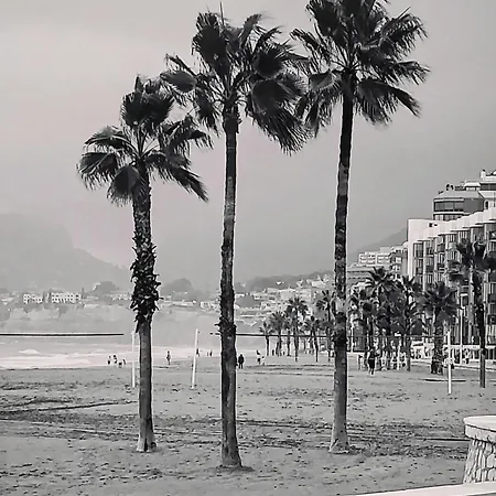 Cbs- Biking And Summer * 卡尔佩