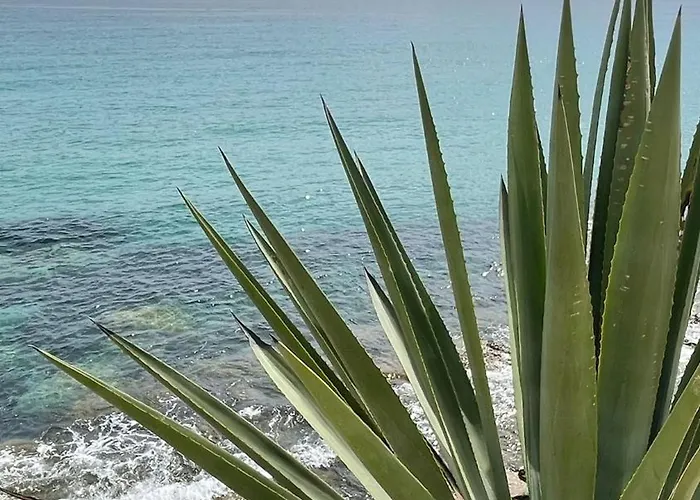 民宿 Cbs- Biking And Summer *