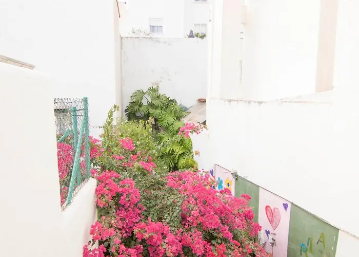 Cbs- Biking And Summer