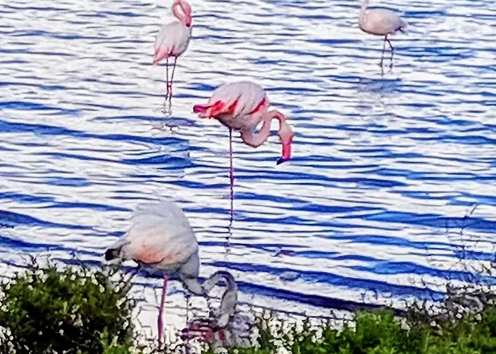 Homestay Cbs- Biking And Summer *