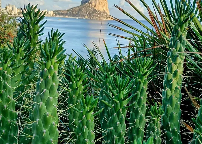 Homestay Cbs- Biking And Summer *