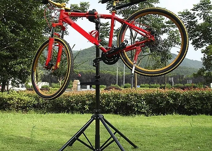 Cbs- Biking And Summer *